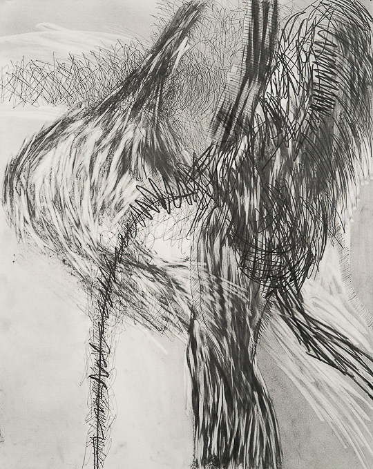 expanding 29x23
