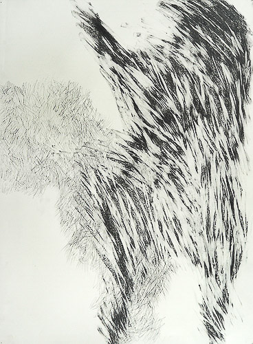 shadow torso 30x22