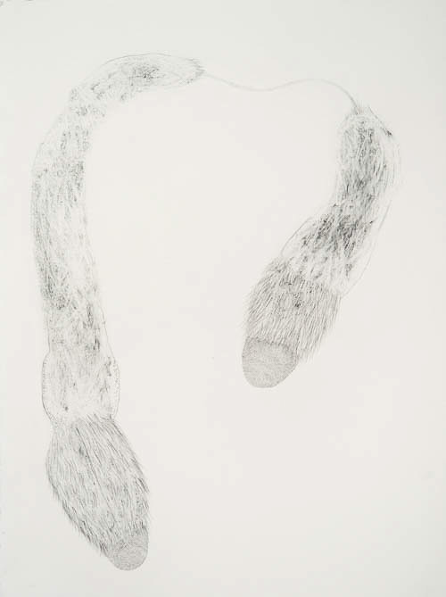 Doubled Study 30x22