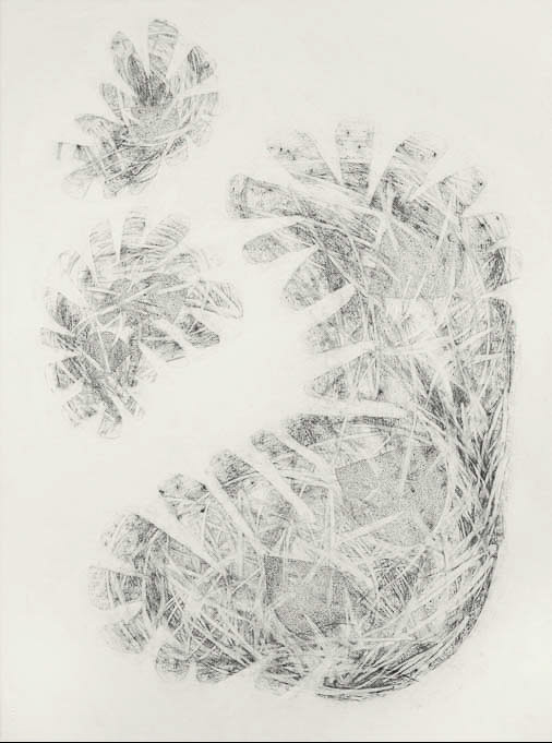 False Images (study) 30x22