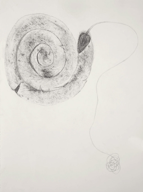 Spiral Study 30x22