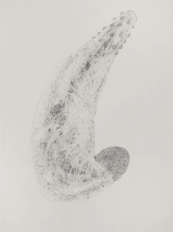 Two Ended Forms (Study)