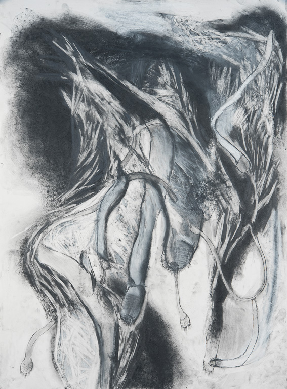 Searching    30x22 2018