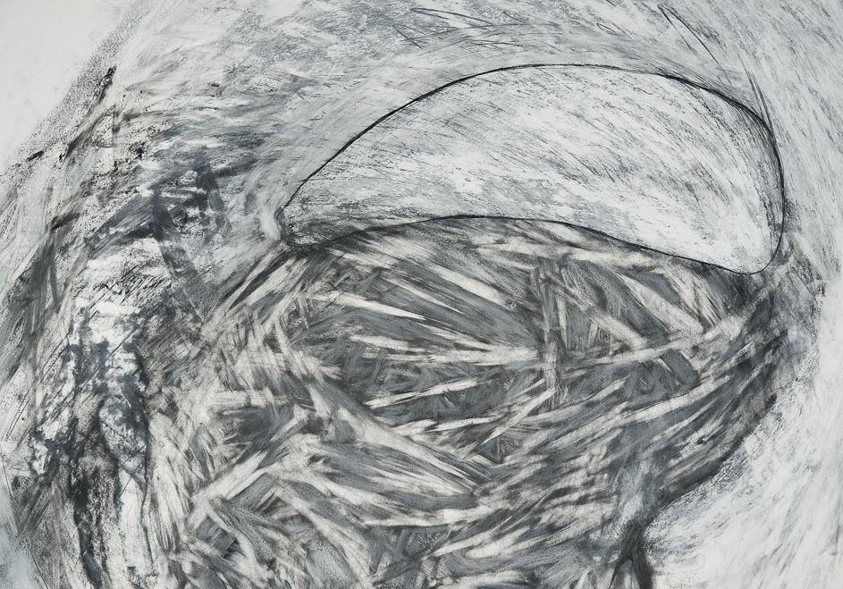 Umbilicus (detail)