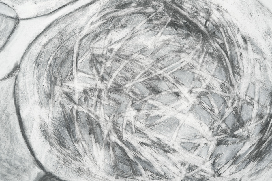Ruggengraat (detail)