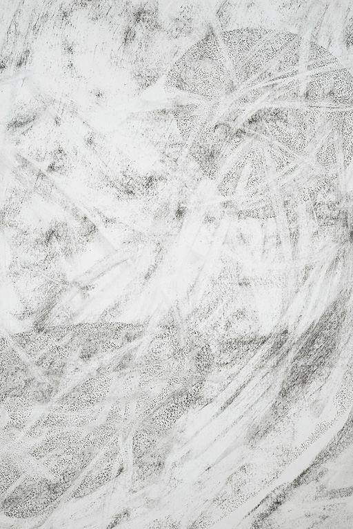 Animalia Grande (detail)