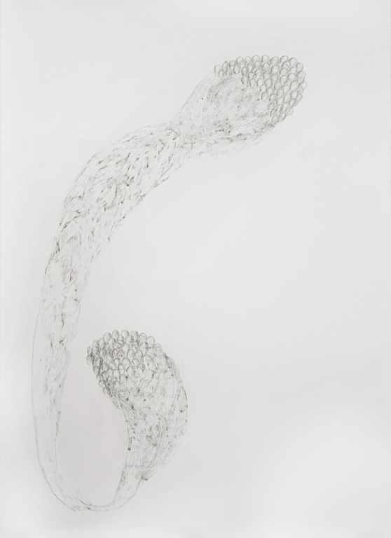 Strange Evolution 72x51