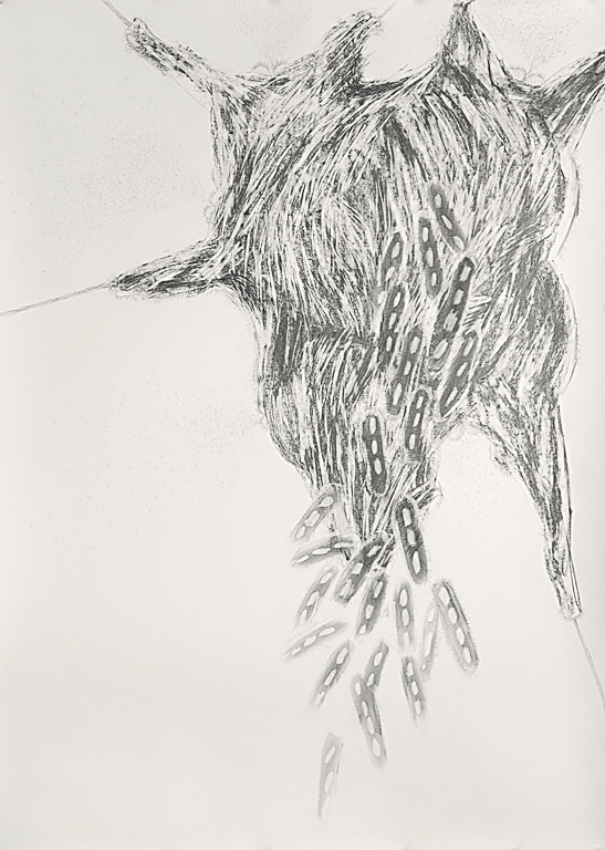 Carcass  72 x 51"