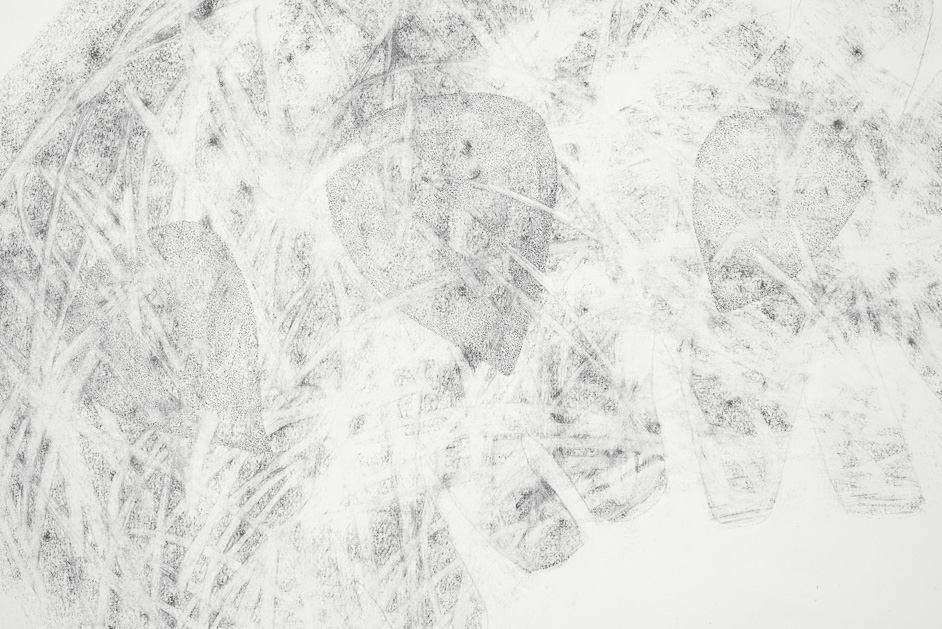 False Images Detail