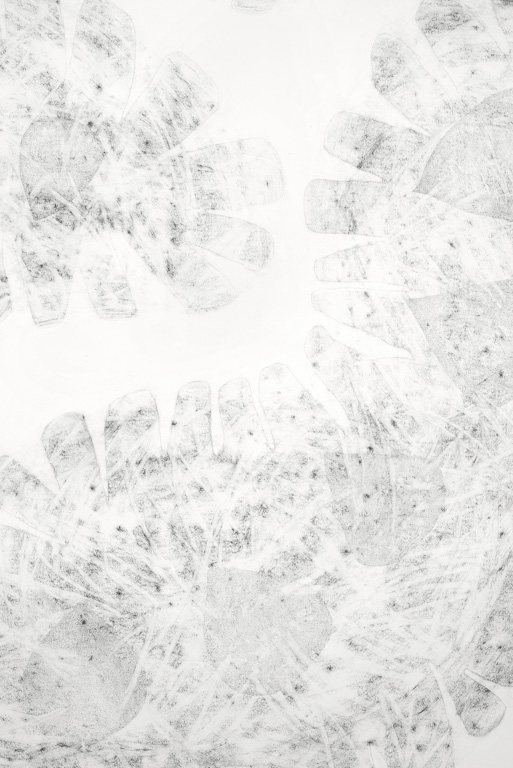 False Images Detail