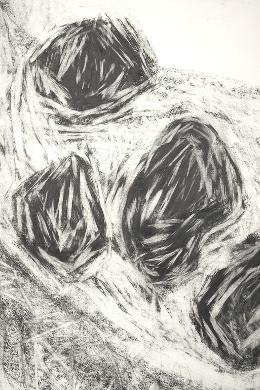 Paranoid Object Detail