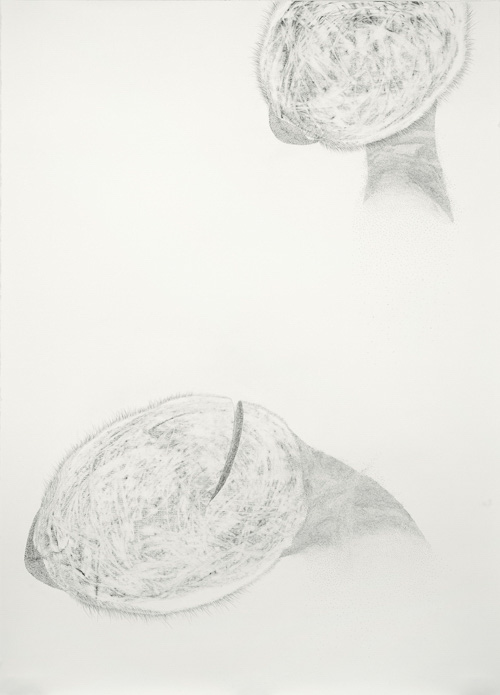 Shedding Orbs 72x51"