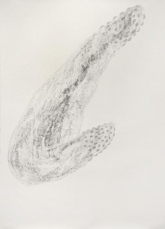 Two Ended Forms 72x51"