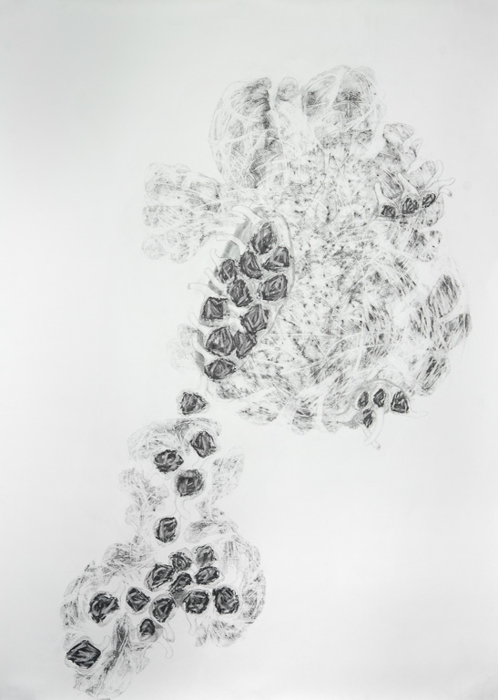 Phobic 72x51