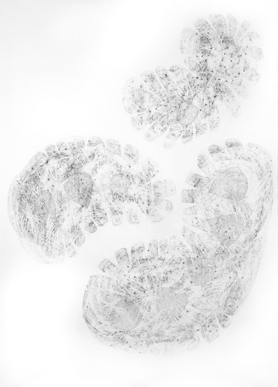 False Images 72x51"