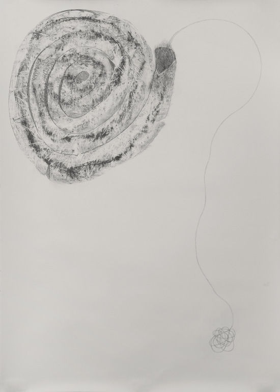 Spiral 72x51"