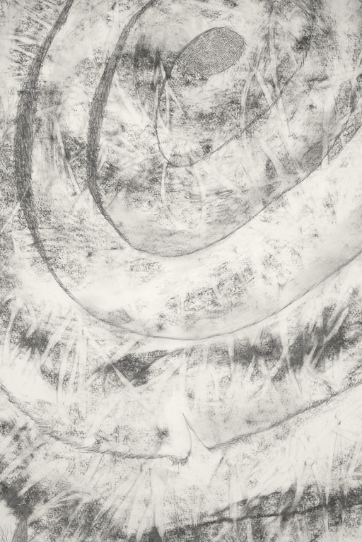 Spiral Detail